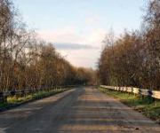 В Ленобласти осуществят ремонт автомобильной дороги Паша-Свирица-Загубье