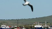 Строительство моста через Керченский пролив потребует 150-200 млрд. рублей