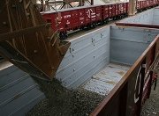 ПГК зафиксировала рост погрузки на юге России