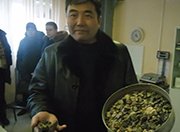 В Казахстане приступили к производству искусственного щебня