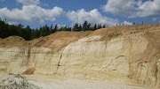 Крупный нелегальный песчаный карьер обнаружили под Клином