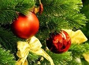 Поздравляем с наступающим Новым Годом и Рождеством!