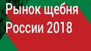 V международная конференция «Рынок щебня России 2018»