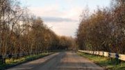 В Ленобласти осуществят ремонт автомобильной дороги Паша-Свирица-Загубье
