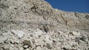 Новое месторождение строительных известняков обнаружено в Липецкой области
